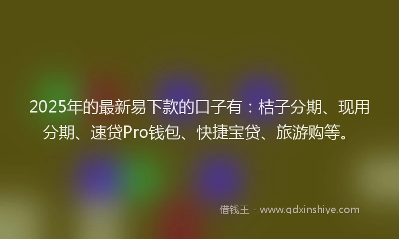 2025年的最新易下款的口子有：桔子分期、现用分期、速贷Pro钱包、快捷宝贷、旅游购等。