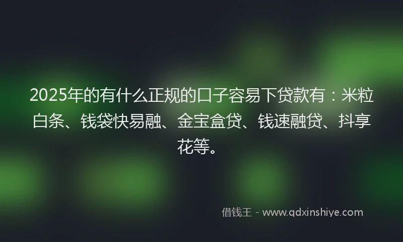 2025年的有什么正规的口子容易下贷款有：米粒白条、钱袋快易融、金宝盒贷、钱速融贷、抖享花等。