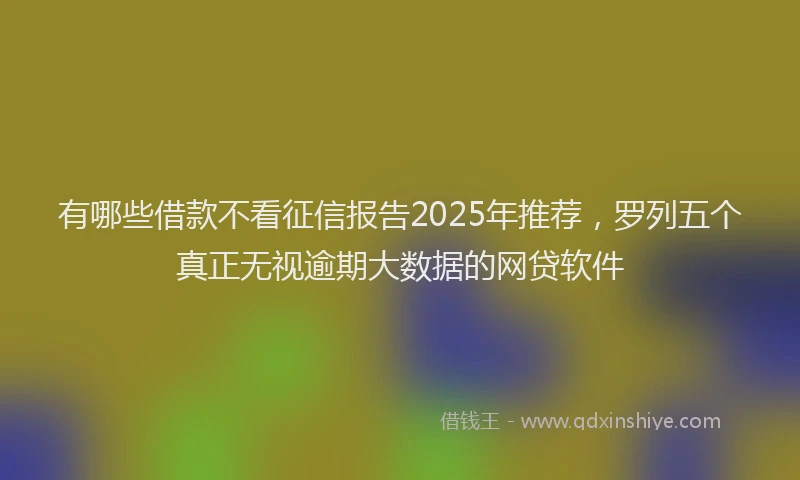 有哪些借款不看征信报告2025年推荐，罗列五个真正无视逾期大数据的网贷软件