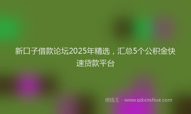 新口子借款论坛2025年精选，汇总5个公积金快速贷款平台