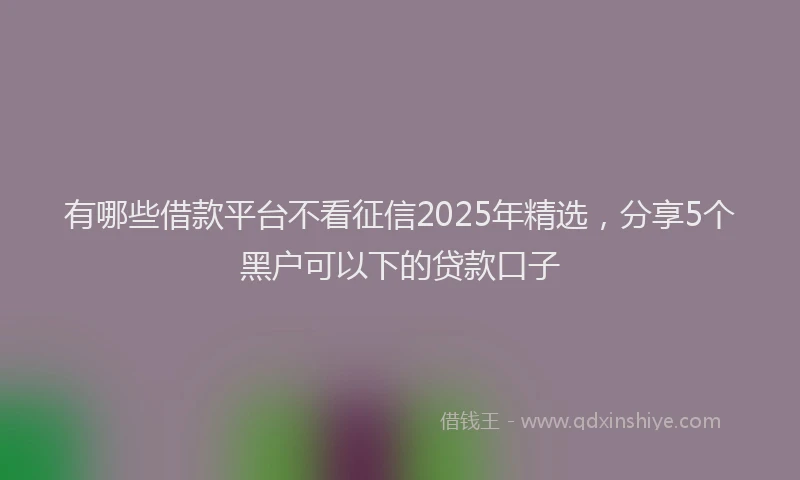 有哪些借款平台不看征信2025年精选，分享5个黑户可以下的贷款口子