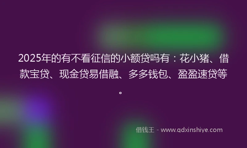 2025年的有不看征信的小额贷吗有：花小猪、借款宝贷、现金贷易借融、多多钱包、盈盈速贷等。