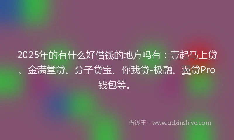2025年的有什么好借钱的地方吗有：壹起马上贷、金满堂贷、分子贷宝、你我贷-极融、翼贷Pro钱包等。