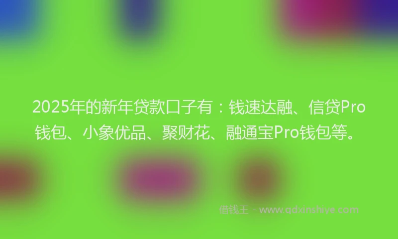 2025年的新年贷款口子有：钱速达融、信贷Pro钱包、小象优品、聚财花、融通宝Pro钱包等。