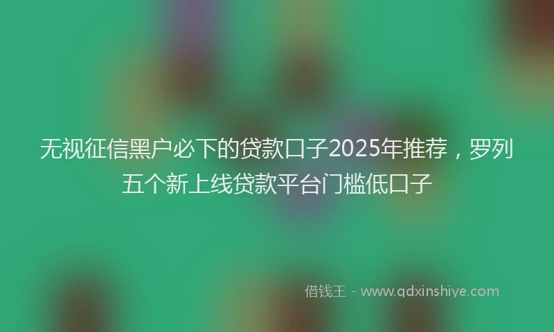 无视征信黑户必下的贷款口子2025年推荐，罗列五个新上线贷款平台门槛低口子