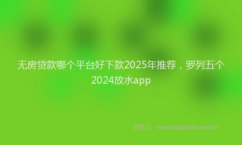 无房贷款哪个平台好下款2025年推荐，罗列五个2024放水app