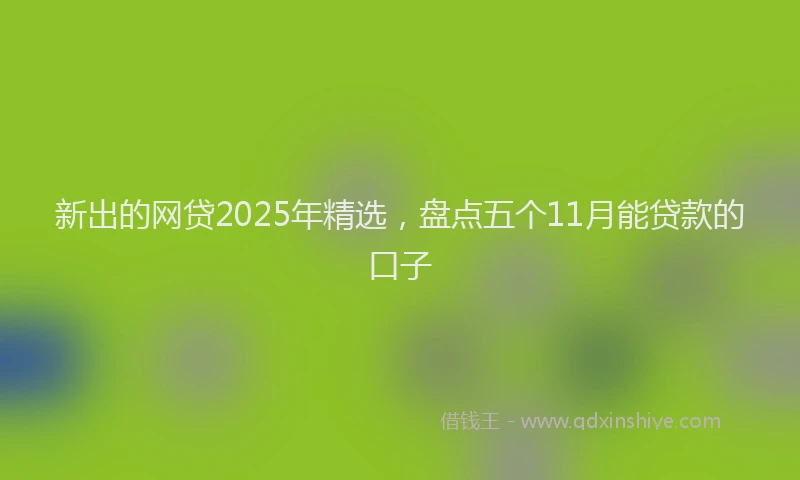 新出的网贷2025年精选，盘点五个11月能贷款的口子