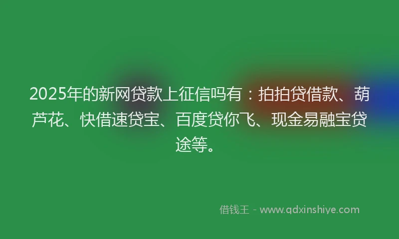 2025年的新网贷款上征信吗有：拍拍贷借款、葫芦花、快借速贷宝、百度贷你飞、现金易融宝贷途等。