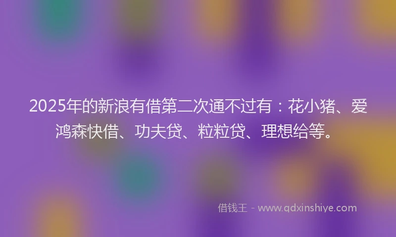 2025年的新浪有借第二次通不过有：花小猪、爱鸿森快借、功夫贷、粒粒贷、理想给等。
