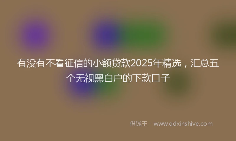 有没有不看征信的小额贷款2025年精选，汇总五个无视黑白户的下款口子