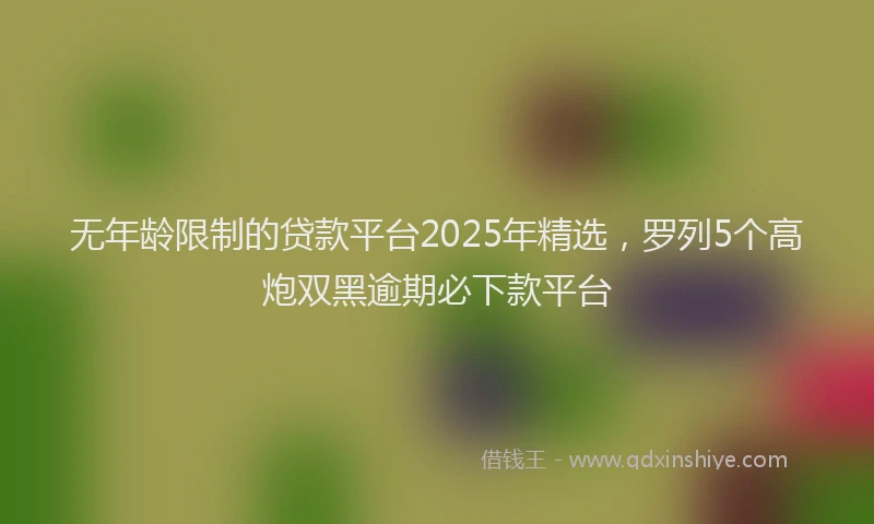 无年龄限制的贷款平台2025年精选，罗列5个高炮双黑逾期必下款平台