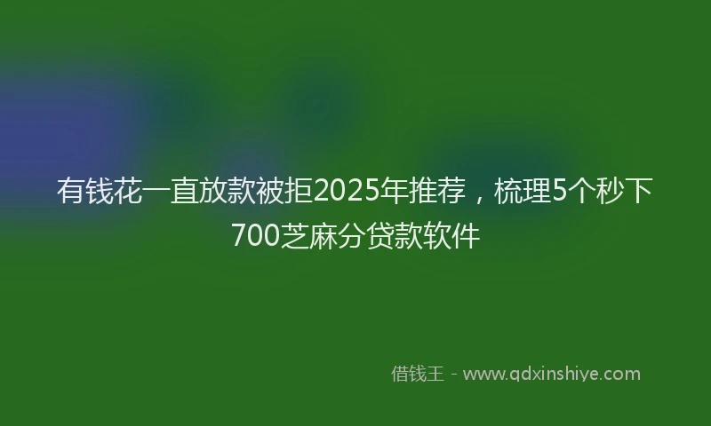 有钱花一直放款被拒2025年推荐，梳理5个秒下700芝麻分贷款软件