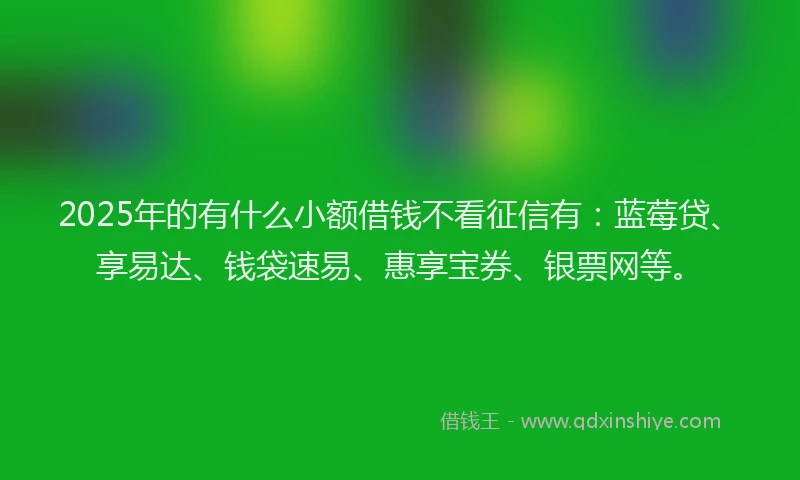 2025年的有什么小额借钱不看征信有：蓝莓贷、享易达、钱袋速易、惠享宝券、银票网等。