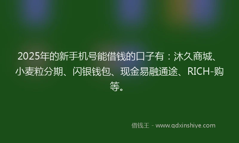 2025年的新手机号能借钱的口子有：沐久商城、小麦粒分期、闪银钱包、现金易融通途、RICH-购等。