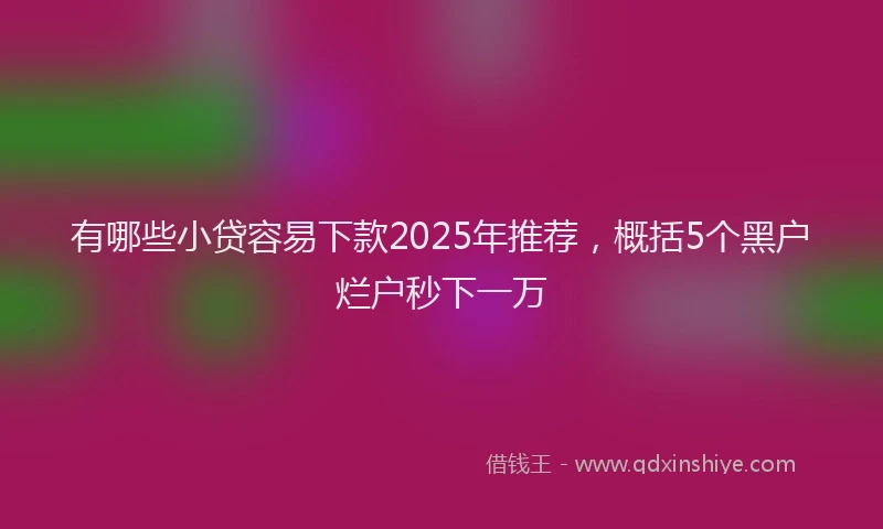 有哪些小贷容易下款2025年推荐，概括5个黑户烂户秒下一万