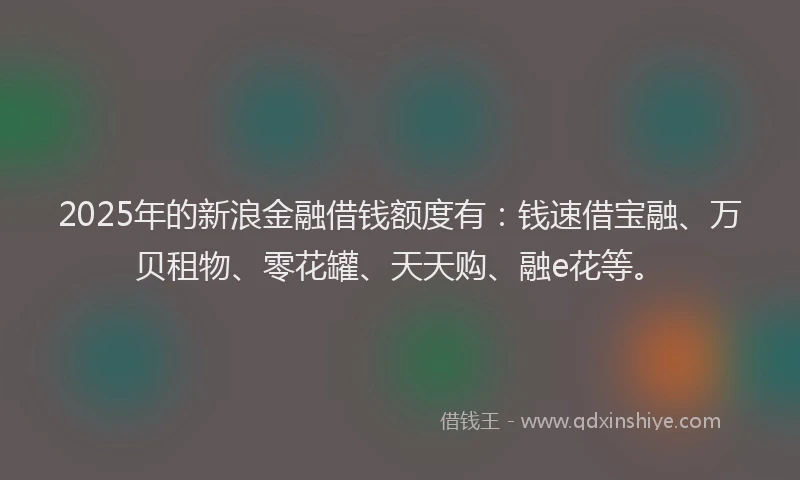 2025年的新浪金融借钱额度有：钱速借宝融、万贝租物、零花罐、天天购、融e花等。