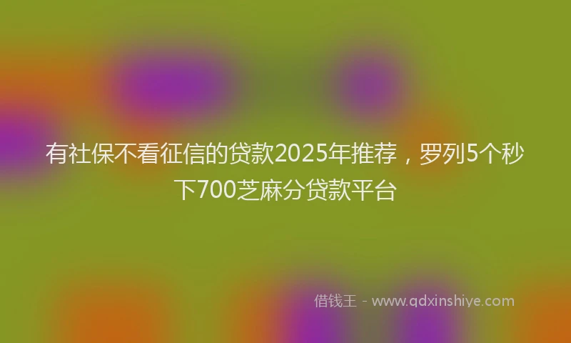 有社保不看征信的贷款2025年推荐，罗列5个秒下700芝麻分贷款平台