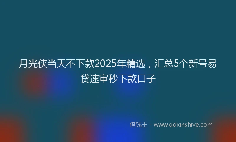 月光侠当天不下款2025年精选，汇总5个新号易贷速审秒下款口子