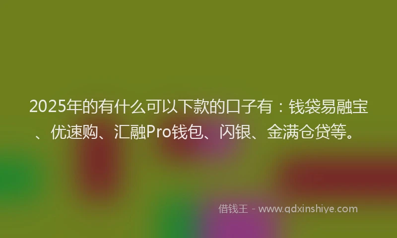 2025年的有什么可以下款的口子有：钱袋易融宝、优速购、汇融Pro钱包、闪银、金满仓贷等。