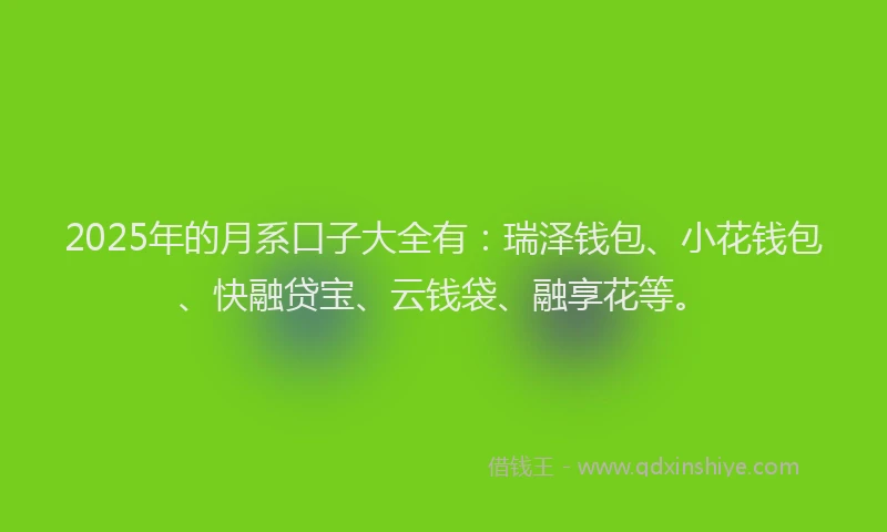 2025年的月系口子大全有：瑞泽钱包、小花钱包、快融贷宝、云钱袋、融享花等。