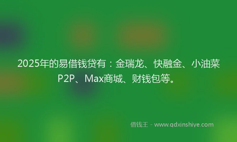 2025年的易借钱贷有：金瑞龙、快融金、小油菜P2P、Max商城、财钱包等。