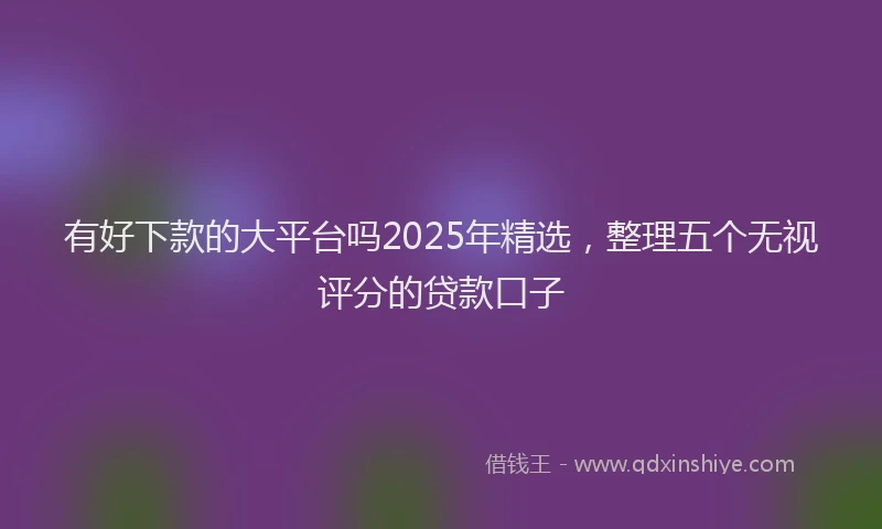 有好下款的大平台吗2025年精选，整理五个无视评分的贷款口子