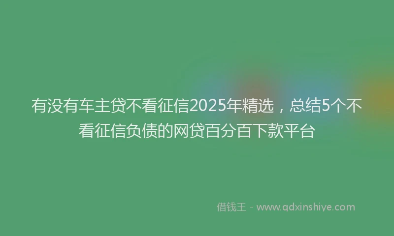 有没有车主贷不看征信2025年精选，总结5个不看征信负债的网贷百分百下款平台