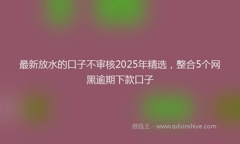 最新放水的口子不审核2025年精选，整合5个网黑逾期下款口子