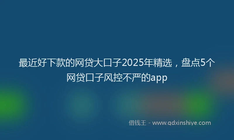 最近好下款的网贷大口子2025年精选，盘点5个网贷口子风控不严的app