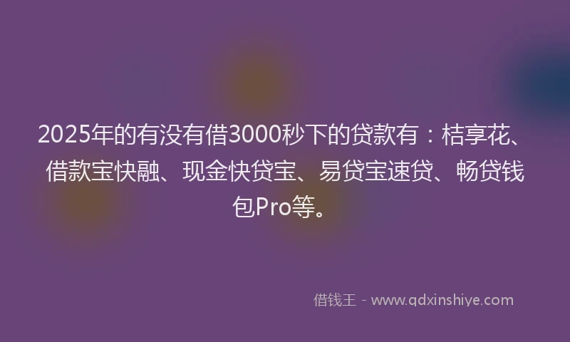 2025年的有没有借3000秒下的贷款有：桔享花、借款宝快融、现金快贷宝、易贷宝速贷、畅贷钱包Pro等。