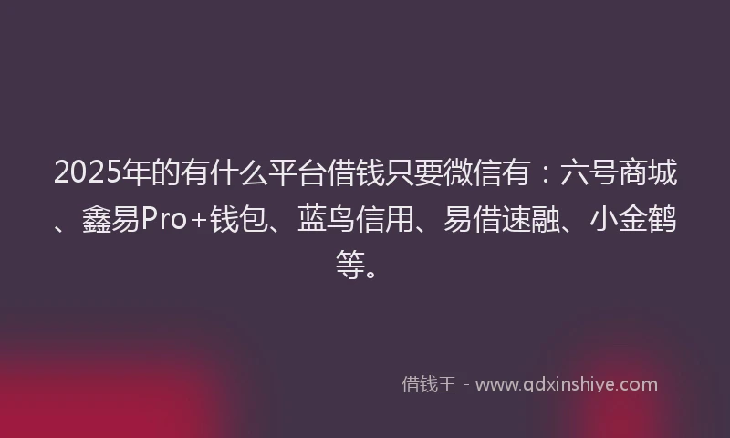2025年的有什么平台借钱只要微信有：六号商城、鑫易Pro+钱包、蓝鸟信用、易借速融、小金鹤等。