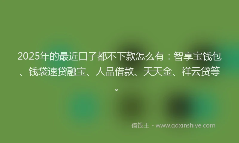 2025年的最近口子都不下款怎么有：智享宝钱包、钱袋速贷融宝、人品借款、天天金、祥云贷等。