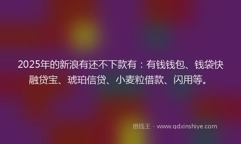2025年的新浪有还不下款有：有钱钱包、钱袋快融贷宝、琥珀信贷、小麦粒借款、闪用等。