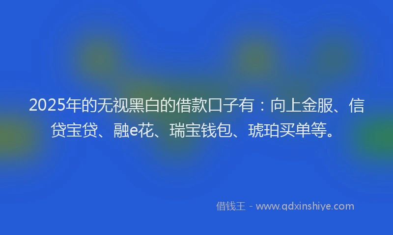 2025年的无视黑白的借款口子有：向上金服、信贷宝贷、融e花、瑞宝钱包、琥珀买单等。