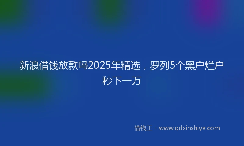 新浪借钱放款吗2025年精选，罗列5个黑户烂户秒下一万