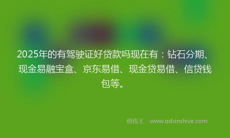 2025年的有驾驶证好贷款吗现在有：钻石分期、现金易融宝盒、京东易借、现金贷易借、信贷钱包等。