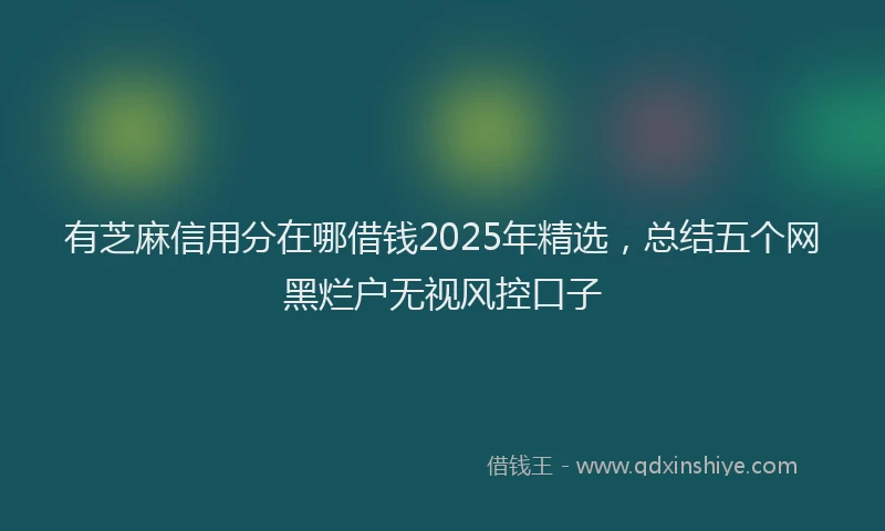 有芝麻信用分在哪借钱2025年精选，总结五个网黑烂户无视风控口子