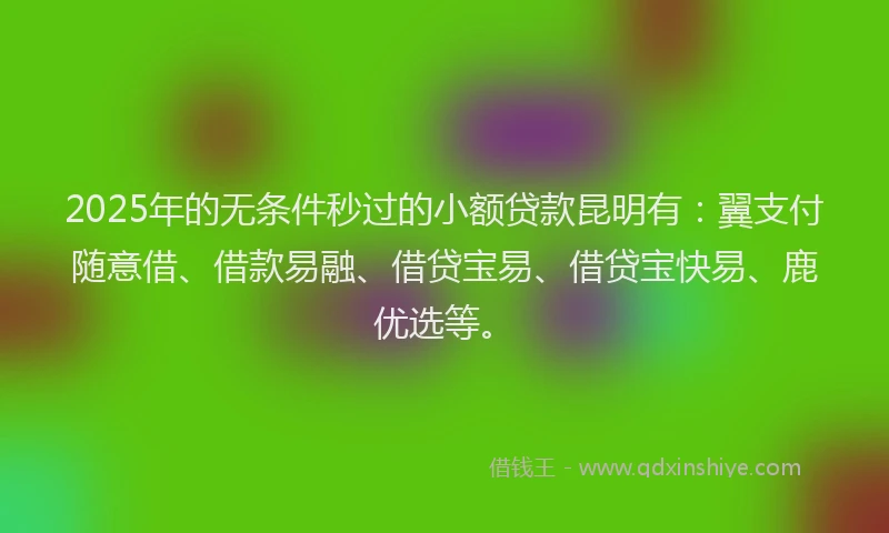 2025年的无条件秒过的小额贷款昆明有：翼支付随意借、借款易融、借贷宝易、借贷宝快易、鹿优选等。