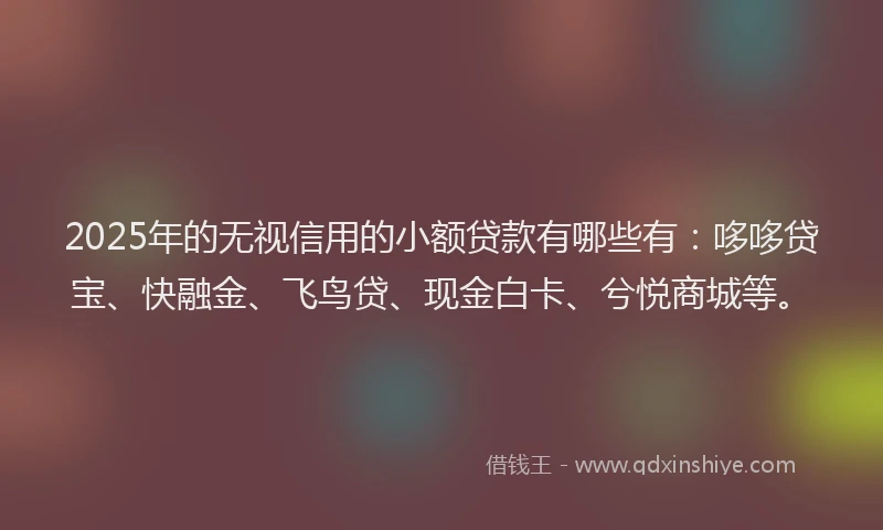 2025年的无视信用的小额贷款有哪些有：哆哆贷宝、快融金、飞鸟贷、现金白卡、兮悦商城等。