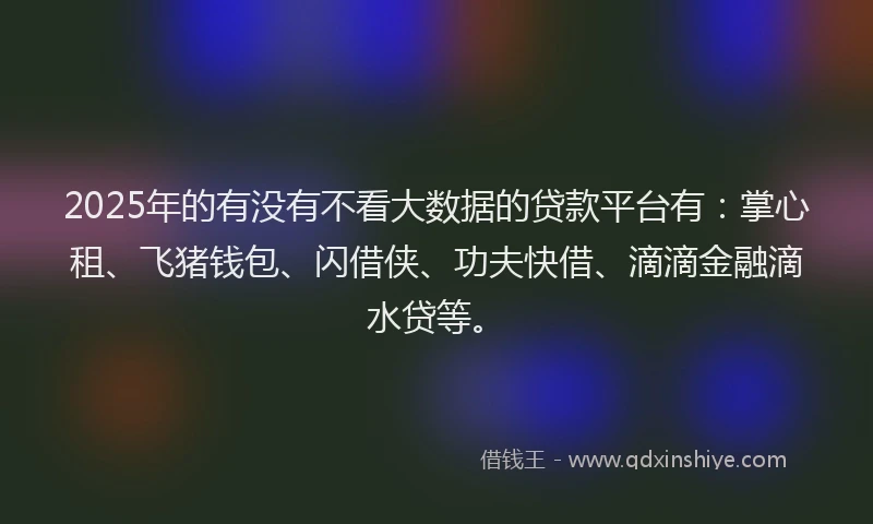 2025年的有没有不看大数据的贷款平台有：掌心租、飞猪钱包、闪借侠、功夫快借、滴滴金融滴水贷等。