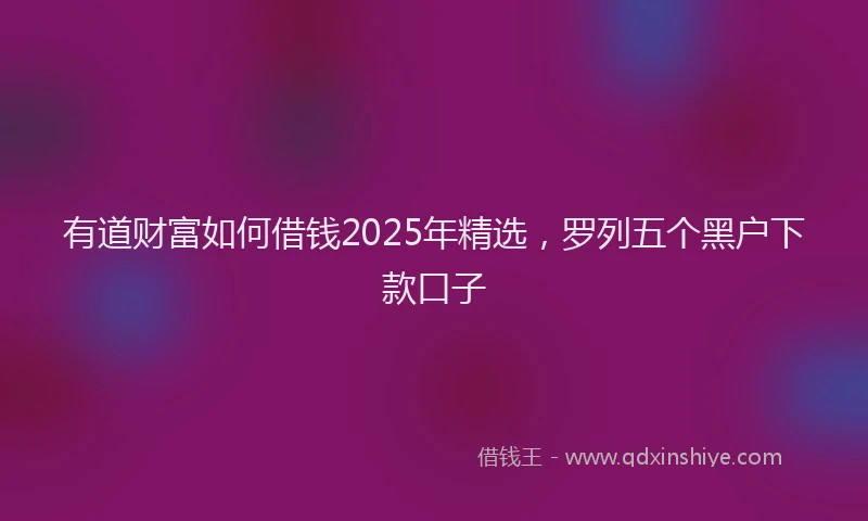 有道财富如何借钱2025年精选，罗列五个黑户下款口子