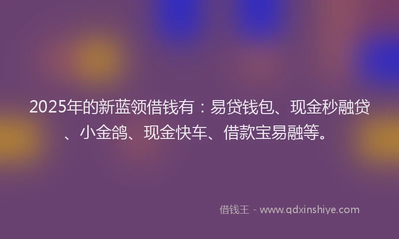 2025年的新蓝领借钱有：易贷钱包、现金秒融贷、小金鸽、现金快车、借款宝易融等。