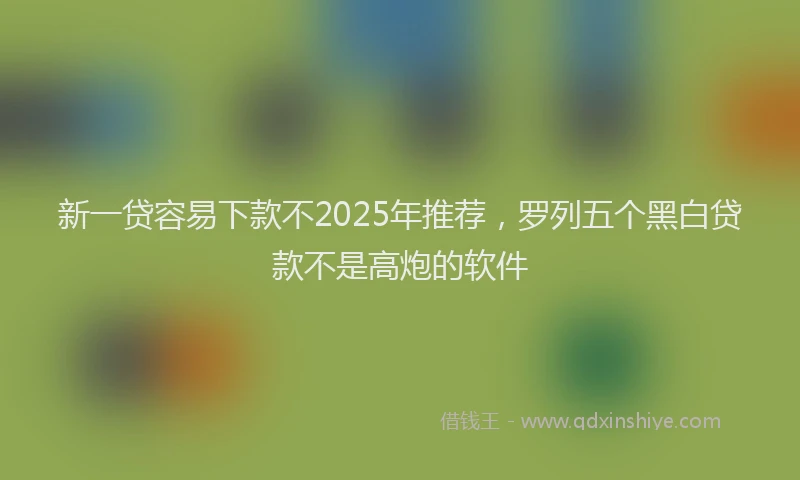 新一贷容易下款不2025年推荐，罗列五个黑白贷款不是高炮的软件