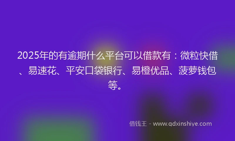 2025年的有逾期什么平台可以借款有：微粒快借、易速花、平安口袋银行、易橙优品、菠萝钱包等。