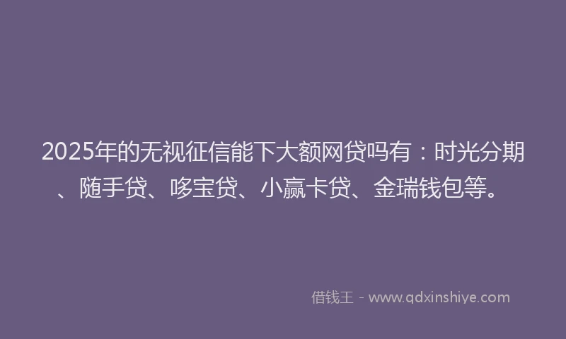 2025年的无视征信能下大额网贷吗有：时光分期、随手贷、哆宝贷、小赢卡贷、金瑞钱包等。