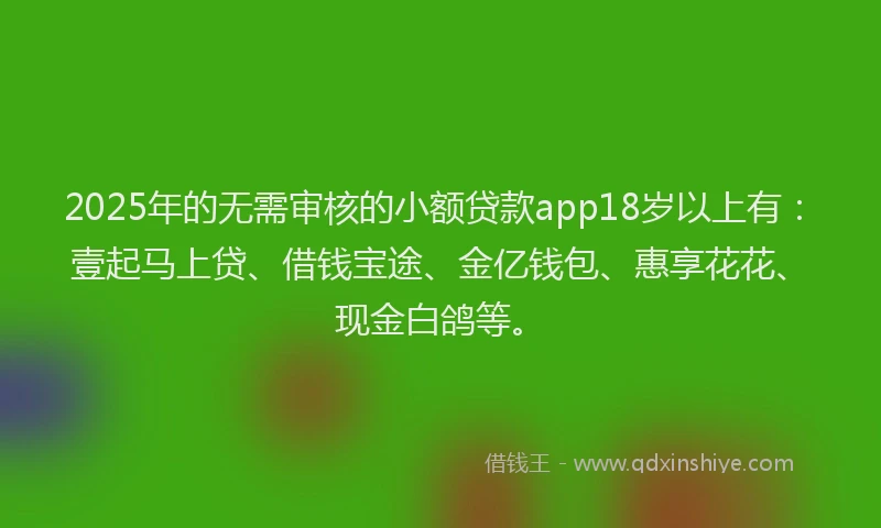 2025年的无需审核的小额贷款app18岁以上有：壹起马上贷、借钱宝途、金亿钱包、惠享花花、现金白鸽等。