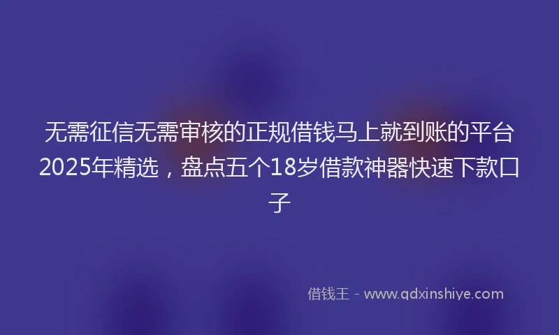 无需征信无需审核的正规借钱马上就到账的平台2025年精选，盘点五个18岁借款神器快速下款口子