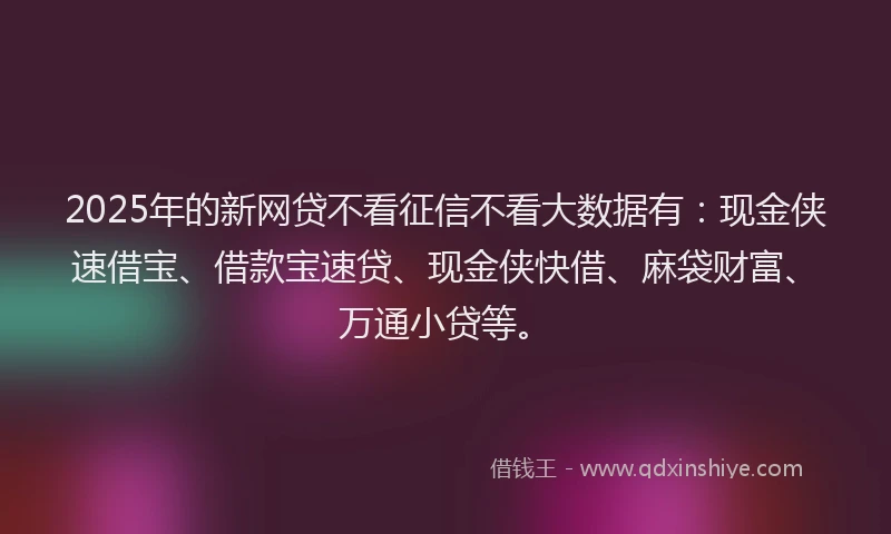 2025年的新网贷不看征信不看大数据有：现金侠速借宝、借款宝速贷、现金侠快借、麻袋财富、万通小贷等。
