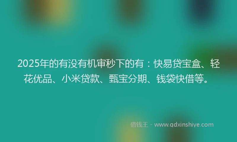 2025年的有没有机审秒下的有：快易贷宝盒、轻花优品、小米贷款、甄宝分期、钱袋快借等。