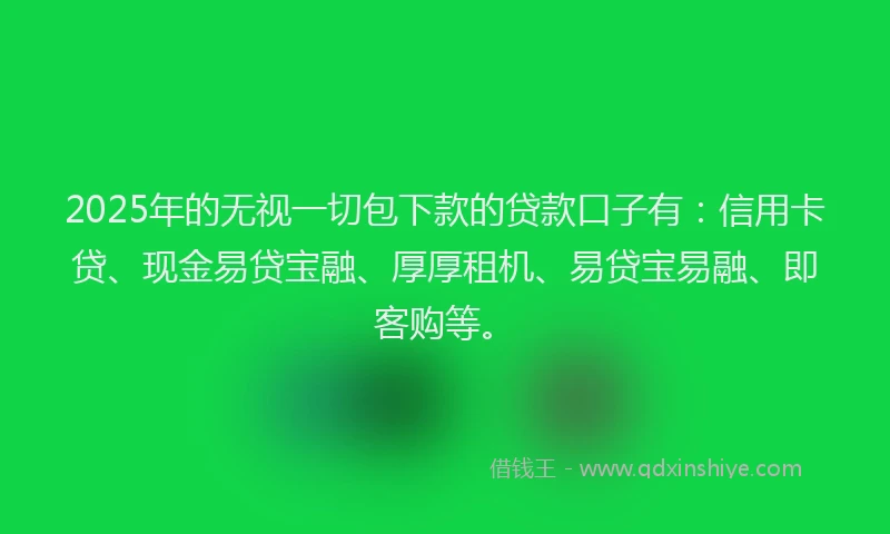 2025年的无视一切包下款的贷款口子有：信用卡贷、现金易贷宝融、厚厚租机、易贷宝易融、即客购等。